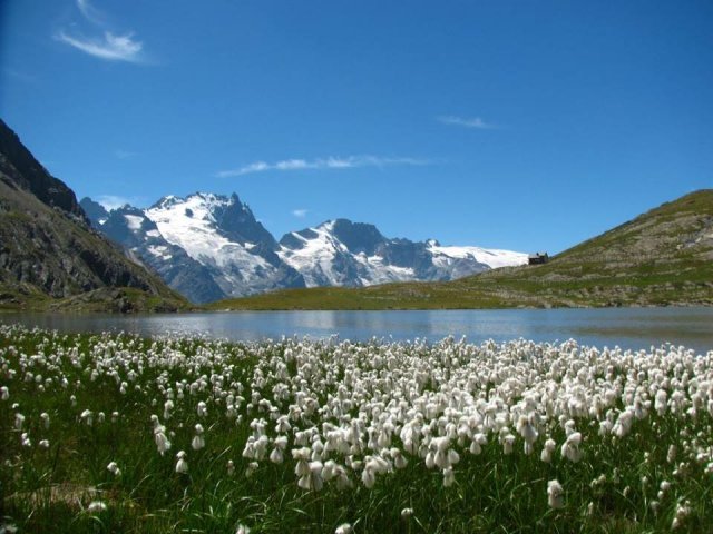 Horizons – La Grave – La Meije