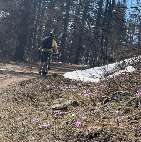 Semaine sportive en famille avec ThéoTour_Villar-d’Arêne