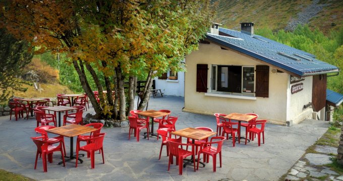 Champ de pin terrasse