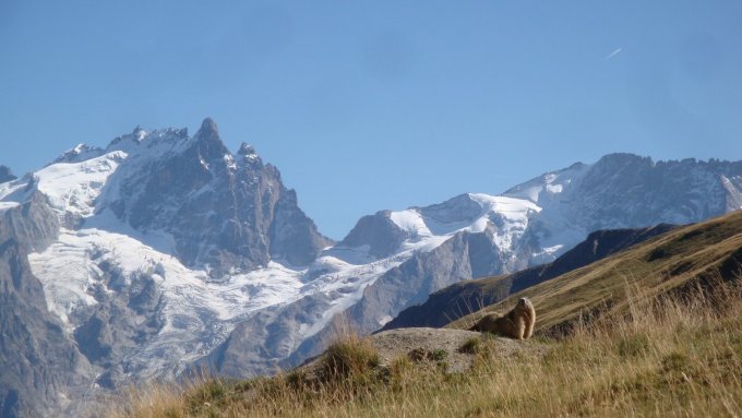 BRO 2026 – 24 ème édition