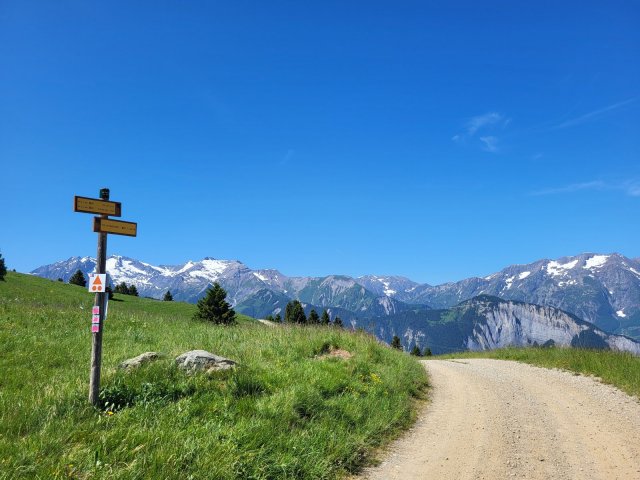 Piste du tour du Signal de l&rsquo;Homme