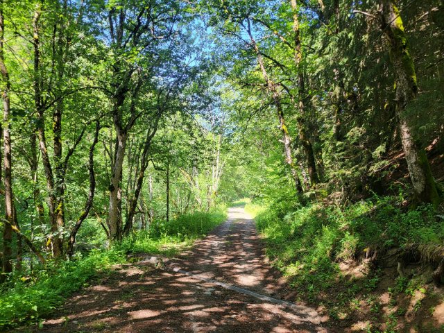 Le long de la Sarenne